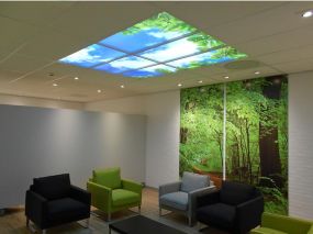 LED Ceiling Panels