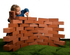 Life Like Building Bricks 25pcs