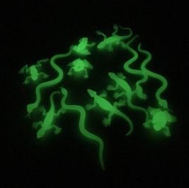 Glow in the Dark Reptiles Set 
